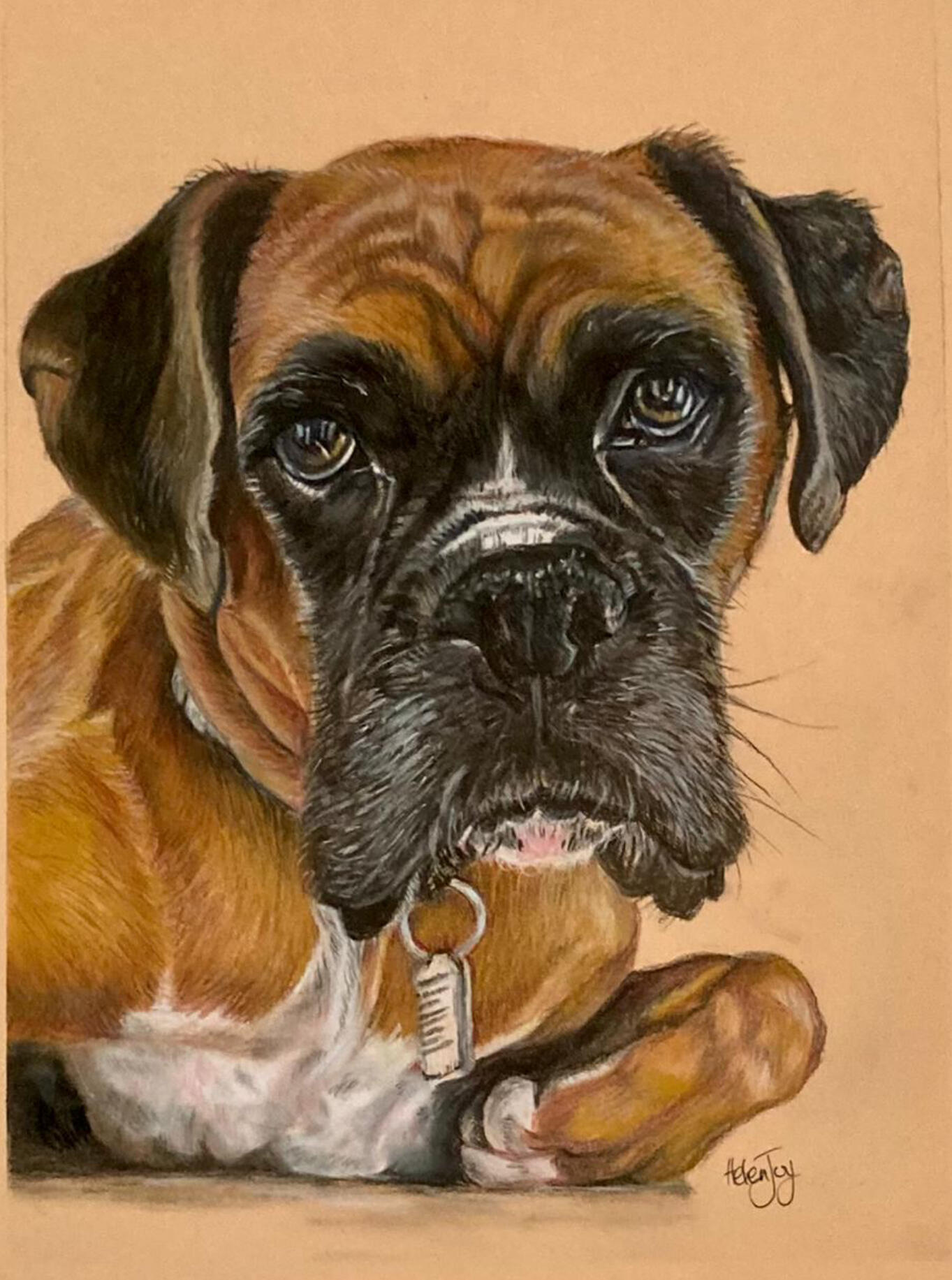 Helen Joy Art Boxer Dog